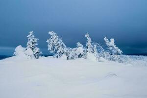 hård nordlig vinter- snötäckt frostig naturlig bakgrund med en frysta träd. minimalistisk landskap med naken snöig träd i en vinter- fält. Fantastisk scen i blå molnig och dimmig väder. foto