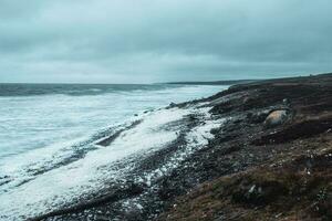 storm på de vit hav kust. vågor med vit skum rulla på de klippig Strand. polär vild landskap foto