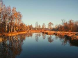 solig morgon- landskap med höst damm. foto