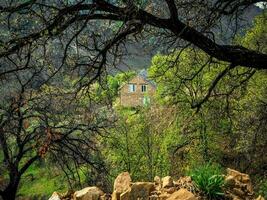 gäst hus med vit tak. sten stuga i frodig grönska i de berg. foto