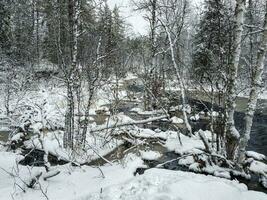 vinter- berg flod i karelen flöden genom de skog. de kraft av vild majestätisk natur. foto