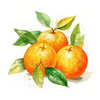 färsk vattenfärg orange frukt. illustration ai generativ foto