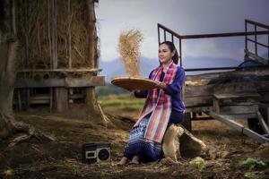 thailändsk kvinna i risfältet och stugan, konceptbonde livsstilsaktivitet foto