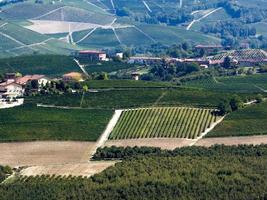 Langhe vingårdar i Piemonte på hösten foto