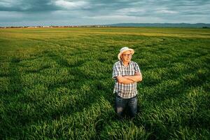 en jordbrukare stående i en korn fält foto