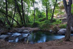 ren vattenström som flyter över stenig bergsterräng i kakopetriaskogen troodos cyprus