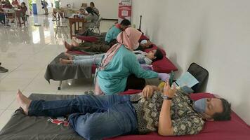 magelang, central java, indonesien - Maj 16, 2023, blod donation aktiviteter. personlig data undersökning och hälsa kolla upp innan donera blod. för social aktiviteter. hjälp människor. för kropp hälsa foto