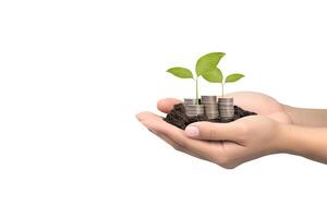 tillväxt finansiera begrepp. växt växande på de mynt i hand för rikedom sparande pengar och investering Framgång på vit bakgrund. ai genererad foto