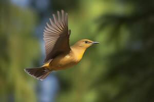 majestätisk fågel i flyg mot en suddig bakgrund. ai genererad foto