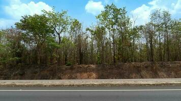 horisontell se av asfalt väg i thailand. bakgrund av parallell jord väg och träd skog i sommar. under de blå himmel. foto