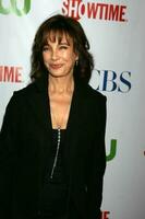 anne archer anländer på de cbs tca sommar 08 fest på boulevard 3 i los angeles ca på juli 18 2008 2008 kathy hutchins hutchins Foto