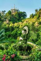 landskap av skön soluppgång på khao na nai luang dharma parkera i surat än mig, thailand foto