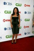 julia louisdreyfus anländer på de cbs tca sommar 08 fest på boulevard 3 i los angeles ca på juli 18 2008 2008 kathy hutchins hutchins Foto