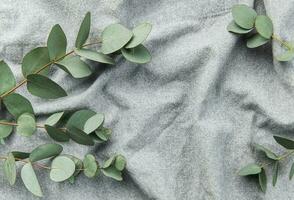 eukalyptus gren på textil- tyg bakgrund. foto