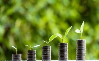 företag finansiera och pengar koncept, spara pengar för förbereda i de framtida.träd växande på mynt av stapling silver- mynt med grön bokeh bakgrund foto