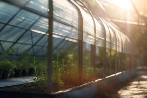 lugn oas en underbar växthus spricker med liv och solljus ai genererad foto