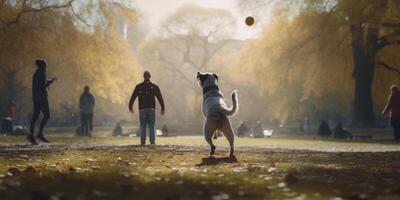 hund speltid hund och ägare jagar boll i de parkera ai genererad foto