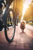 hund nöjestur hund löpning vid sidan av ägare på cykel väg i stad ai genererad foto
