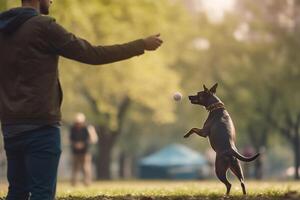 hund speltid hund och ägare jagar boll i de parkera ai genererad foto