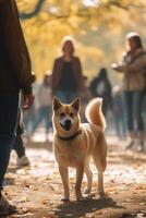 en solig dag promenad i de parkera med mannens bäst vän ai genererad foto