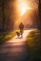 hund nöjestur hund löpning vid sidan av ägare på cykel väg i stad ai genererad foto