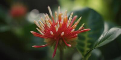 exotisk växt i de regnskog vibrerande orange röd blomma ai genererad foto