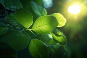 närbild av genomskinlig löv och växter som en symbol av fotosyntes ai genererad foto
