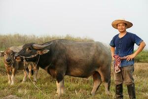 stilig asiatisk man jordbrukare bär hatt, blå skjorta, står på djur- odla. begrepp, boskap, thai jordbrukare höja och ta vård bufflar som ekonomisk och exportera djur. foto