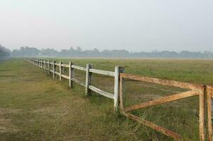 häst bruka med gammal trä- staket på torr bete av naturlig landskap foto