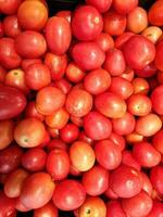 färsk drottning tomater friska, mat foto