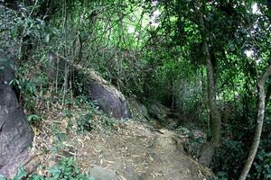 Pha Luang Waterfall Forest Park, Amphoe Si Mueang Mai, Ubon Ratchathani, Thailand foto