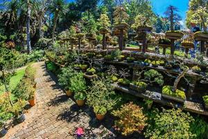 botanisk trädgård i doi ang khang, chiang mai, thailand foto