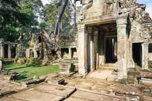 preah kahn tempel i Siem Reap, Kambodja foto
