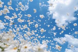 de vit kronblad falla av med suddig klar blå himmel och moln. ai generativ foto