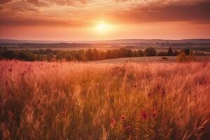 skön färgrik naturlig panorama- landskap med en fält av mogen vete i de strålar av miljö Sol. naturlig solnedgång i gyllene och rosa färger. ai generativ foto