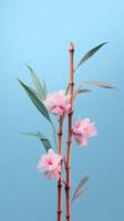 ljus blå bambu, ljus rosa blommor, minimalistisk bild. ai generativ foto