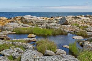 kustlinje Östersjön nära byn Svaneke på ön Bornholm i Danmark