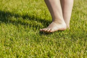 de barnets bar fötter på de gräs. jag am Lycklig till promenad och spela på de gräsmatta i värma solig väder i de parkera foto