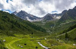 gröna dalen i tyrolen foto