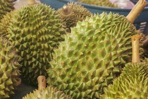 Durian är såld i en marknadsföra. foto