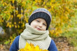 höst humör. en pojke innehar gul lönn löv i hans händer. höst porträtt av en barn i en stickat hatt. syn. söt leende pojke foto