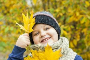 höst humör. en pojke innehar gul lönn löv i hans händer. höst porträtt av en barn i en stickat hatt. syn. söt leende pojke foto