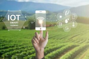 smart jordbruk använder sig av iot internet av tänkande teknologi och analys med ai artificak intelligens hjälp till förbättring, forskning och utveckling produktivitet av jordbruk. foto