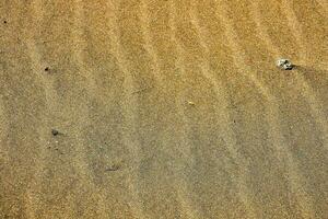 strand sand närbild foto