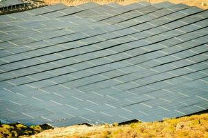 grön förnybar energi med solcellspaneler foto