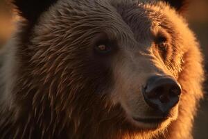 våt grizzly Björn med solljus på dess ansikte. dess stor huvud och päls är våt. de solljus är lysande , belysande dess päls och skapande en värma glöd runt om dess huvud. tillverkad med generativ ai foto