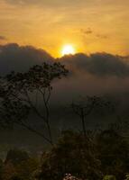 molnig solnedgång i skog med berg foto