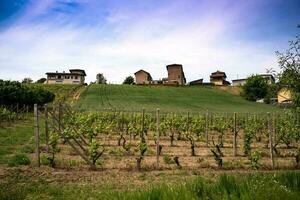 skön vingårdar i costigliole d'asti, i de piemontesiska langhe på en vår dag i 2023 foto
