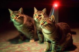 grupp av katter former en hemlighet samhälle tillägnad till lösning mysterier och avmaskering de Sann identitet av de mystisk laser pekare punkt illustration generativ ai foto