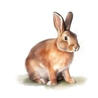 generativ ai innehåll, brun inhemsk kanin på en vit bakgrund, vattenfärg stil, vit bakgrund foto